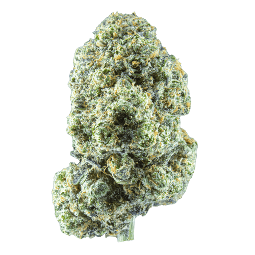 Shrubs 30/1 COC Cosmic Cake