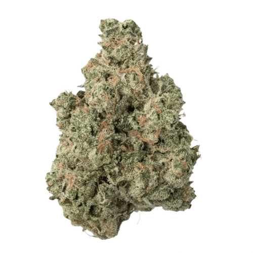 Daily Special 25/1 PWR Papaya Power