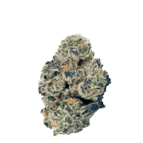 Wellford Peak CA PKM 30/1 Pink Kush Mints