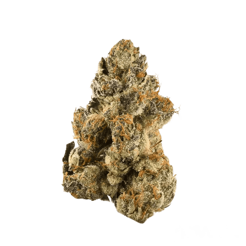 Demecan Craft Electron 31:01 Gelato OG Kush