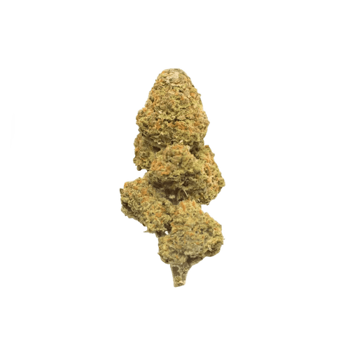 Slouu 25/1 CBC CA Citron Biker Cookies