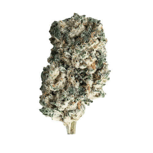 Will C. 24/1 KUB Kush Breath