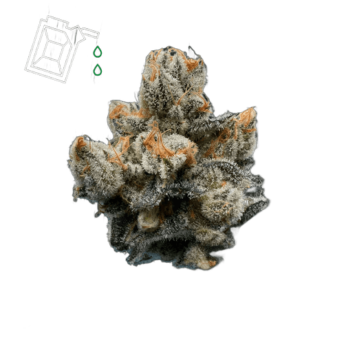 Green Karat MG 28/1 Modified Gas