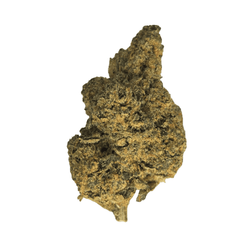 32/1 Amici SLH Super Lemon Haze