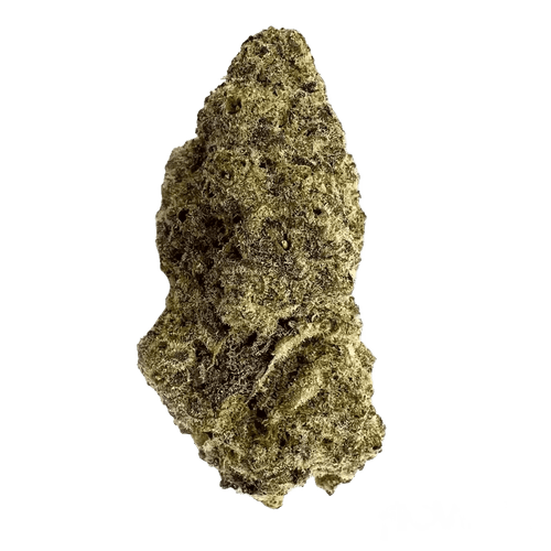 Medical Saints 21/1 MC1 MAC 1