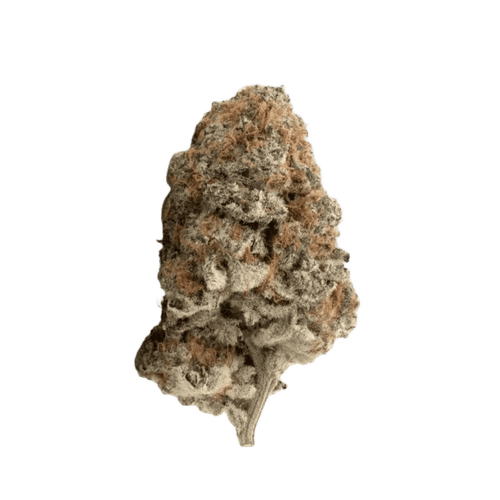 Firegold 33/1 SMC Strawberry MAC