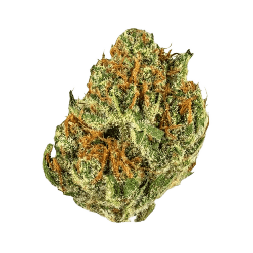 Upstate 28/1 OC Orange Creamsicle