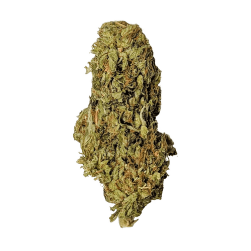 Zoiks 26/1 FK Fairy Kush