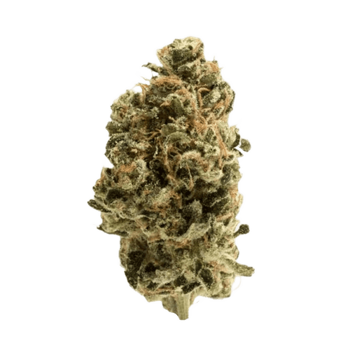 LIT 27/1 DC Diesel Chem
