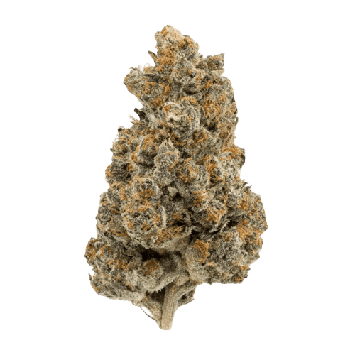 Care RS11 THC20 Rainbow Sherbert #11