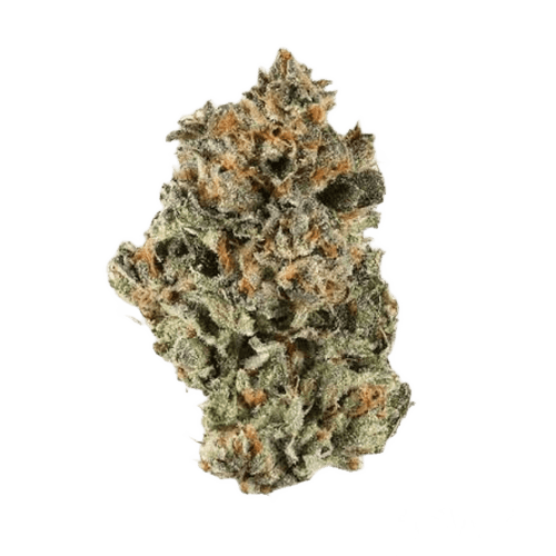 APEX GUS-CA 32/1 White Gushers