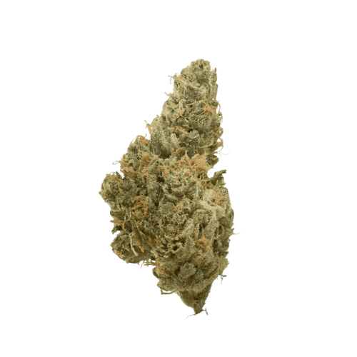 Cannamedical Indica Ultra SM Mintwave