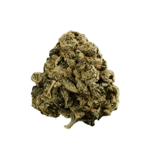 Curaleaf Natural 30/1 PT ZKS Zookies
