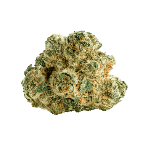 LIT 31/1 MKU Master Kush