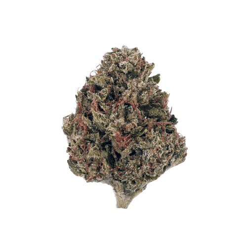 NICE 31/1 KM Kush Mints