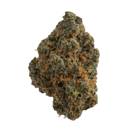 Budza 28/1 RST Rainbow Sherbert #11