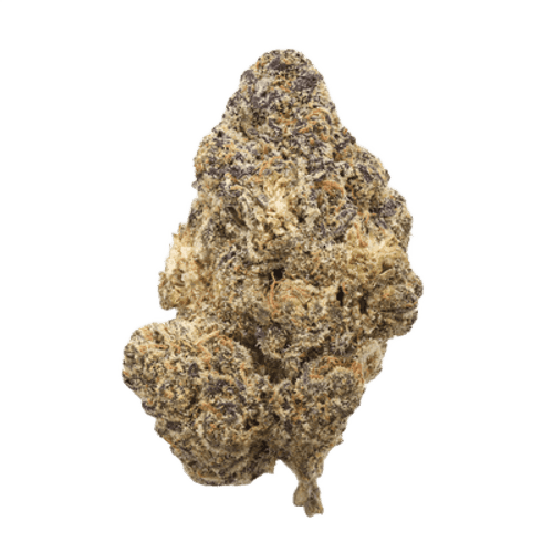 Hi Society CK 28/1 Creamy Kush