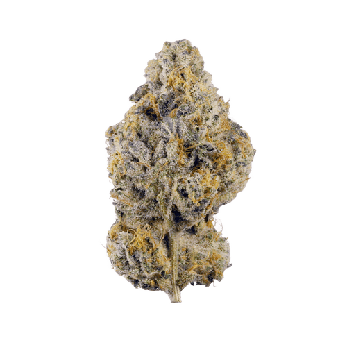 CRF GH 27/1 Garlic Haze