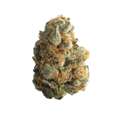 LIT 35/1 MKU Master Kush