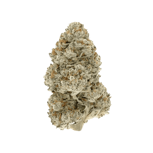 Upstate 27/1 CJ Concrete Jungle
