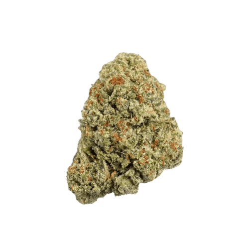 Origine Nature OC 32/1 Orange Cream