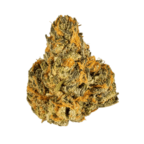 Cannamedical Indica Forte BC Sweet Sunset