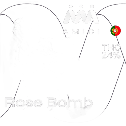 24/1 Amici RBO Rose Bomb
