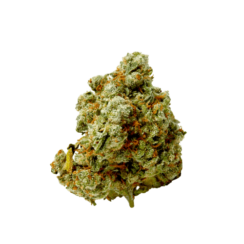 Barongo 26/1 LAK Laker Kush