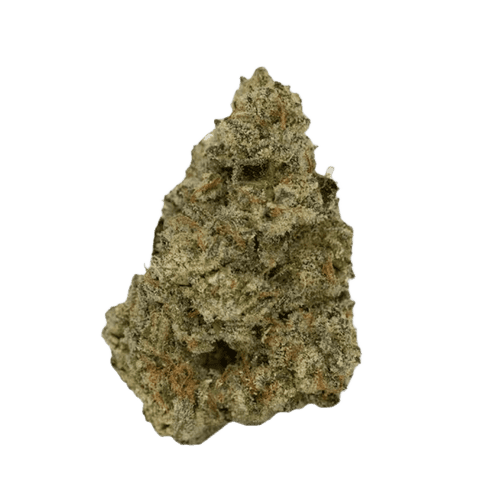 FAAFO Cannabis 24/1 MJR Runtz