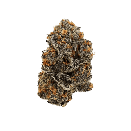 SkyPilot GG 27/1 Grape Galena