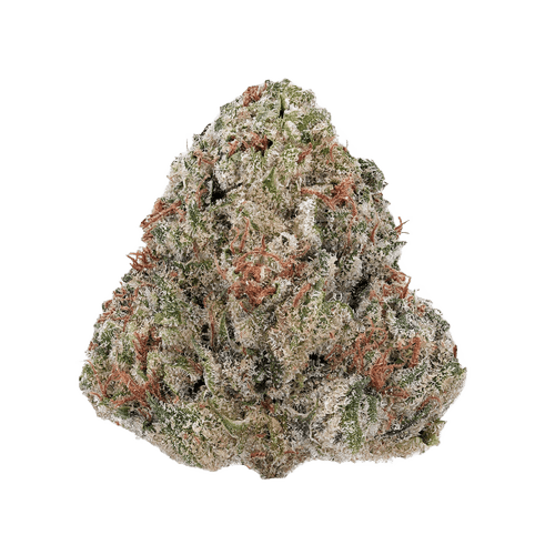 PHENO 18/1 AMG Amnesia Gold