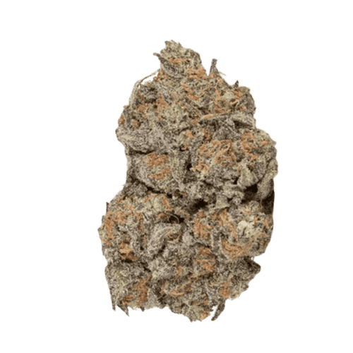 NICE 24/1 LVC Lava Cake