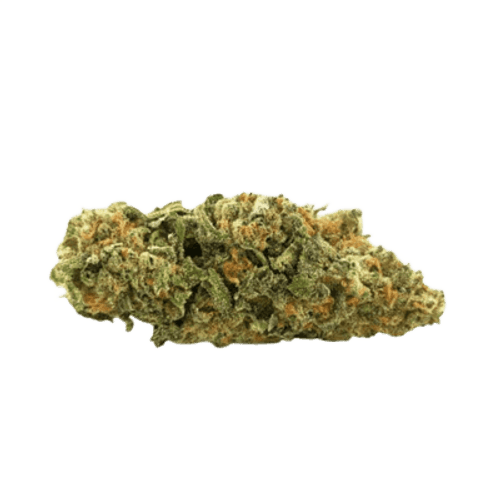 Weeco Duke 27/1 DK Duke Purple Rain