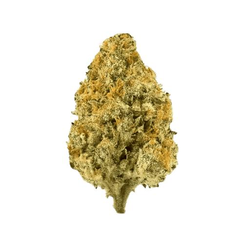 NICE 29/1 KM Kush Mints