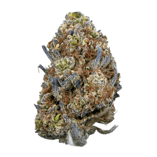 enua 25/1 JFK CA Jet Fuel Kush