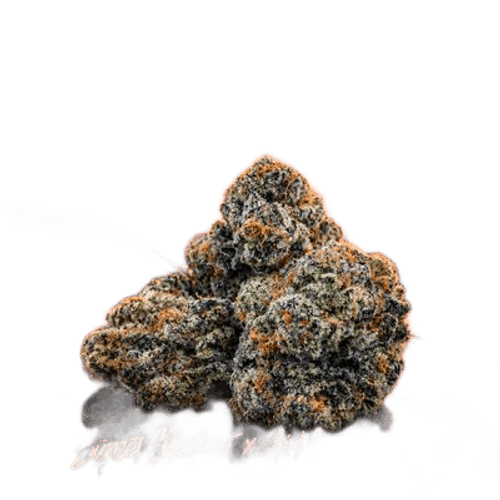 GC LCG 32/1 Lemon Cherry Gelato
