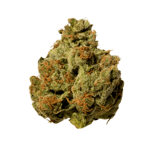 Breezy Crafted CMC 25/1 Cali Mint Cake