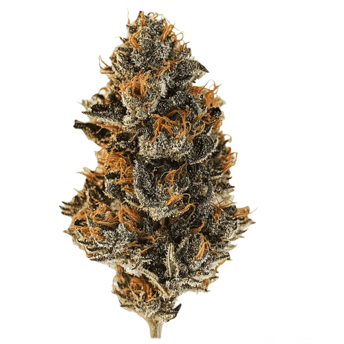 420 Compound 25/1 CA BER Berlin Berries