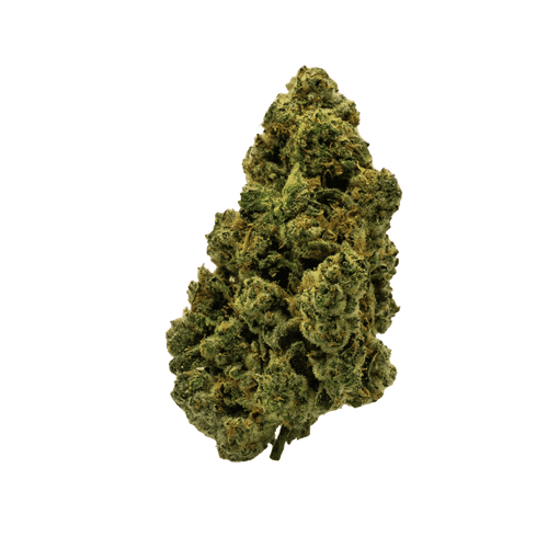 Origine Nature OC 30/1 Orange Cream