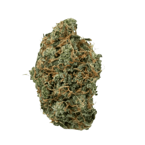 Dank Craft 26 FQ CAN Frosty Queen
