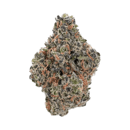 Truth Holdings SSA 30/1 Super Sativa