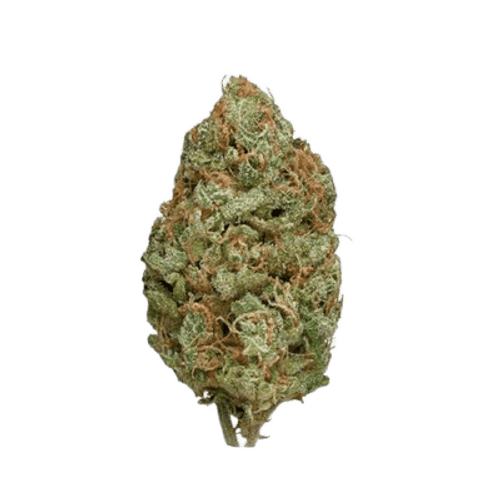Buuo 28/1 BBK Bubblegum Kush