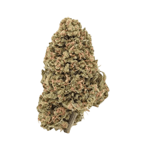 Hempstedt-Börnsen 27/1