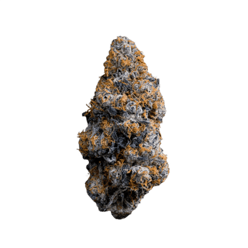 avaay SIGNATURE 31/1 BA Black Amber
