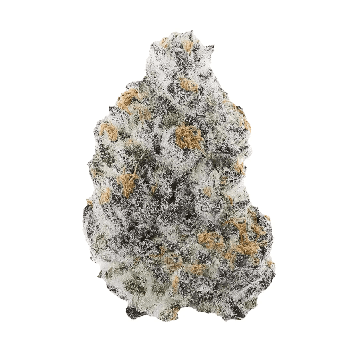 HiDealz 21/1 MS HUB Huckleberry Smalls