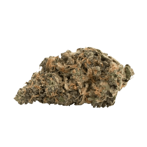 Nimbus easy 26/1 Appalachian Trail