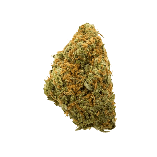 420 Evolution 25/1 CA UNC