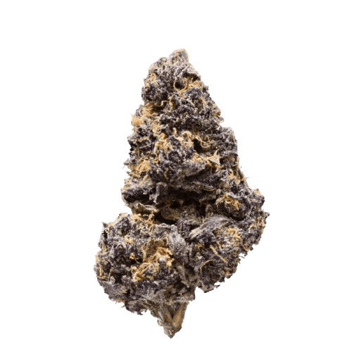 420 Evolution 27/1 CA MFG