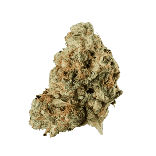 420 Evolution 27/1 CA FRG