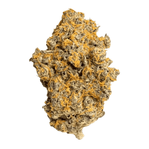 Canify Cannabis Flos 27/1 CDA Ku. Pink Slurricane